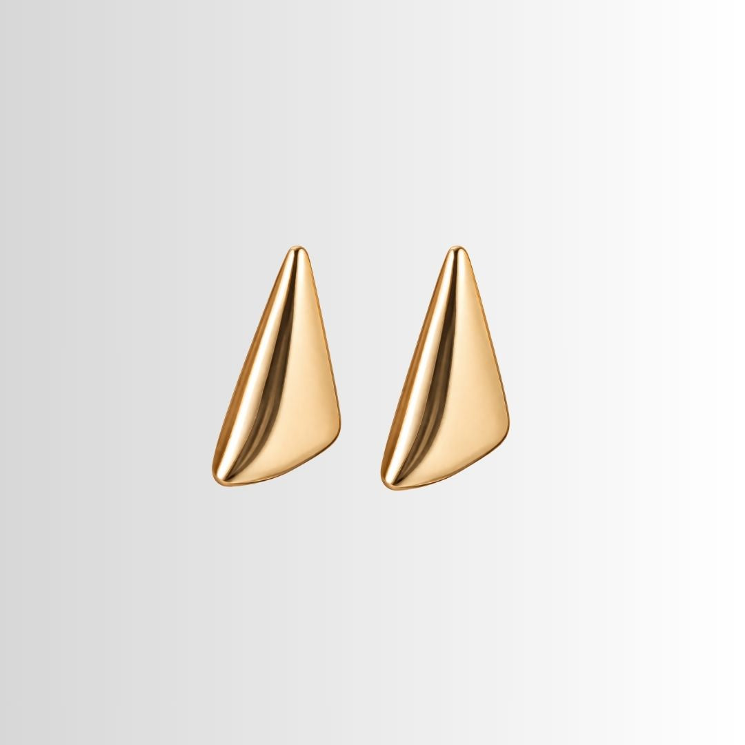 Sculpted Earrings