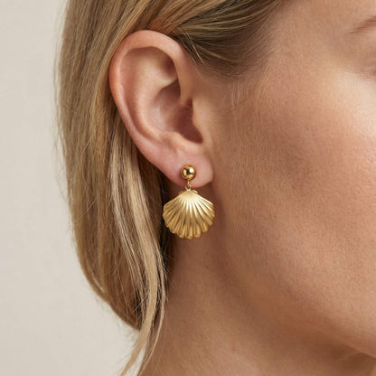 Gold Shell Earrings